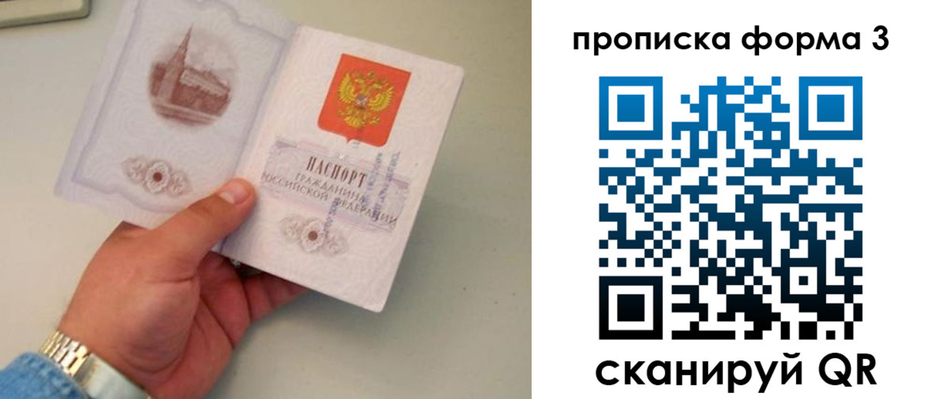 временная регистрация купить в Курской области